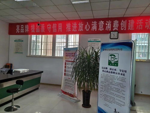 巢湖12家單位入選合肥市級示范 金喜貓食品廠攜旅客票務代理上榜